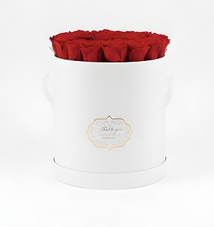 Eternal Devotion 16 Forever Roses