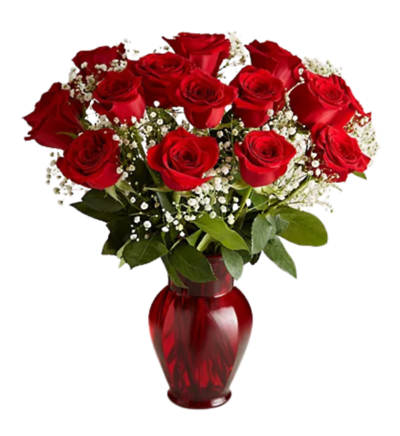 12 Rose Classique - Dozen Red Roses