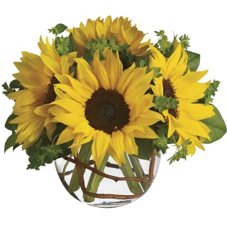 sunflower express