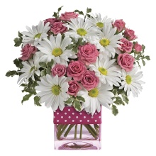 Polka Dots and Posies