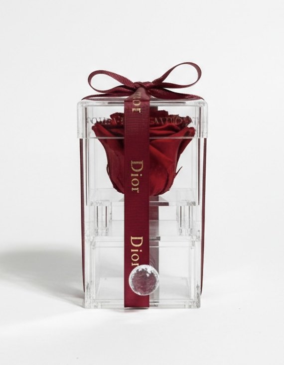 Forever Single Rose Jewllery